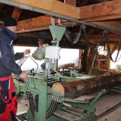 Besuch beim Sägewerk