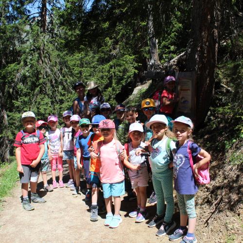 Wandertag Kindergarten