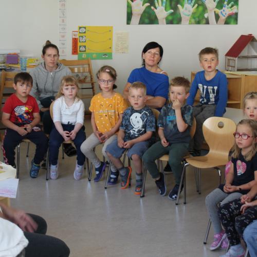 Bienenprojekt