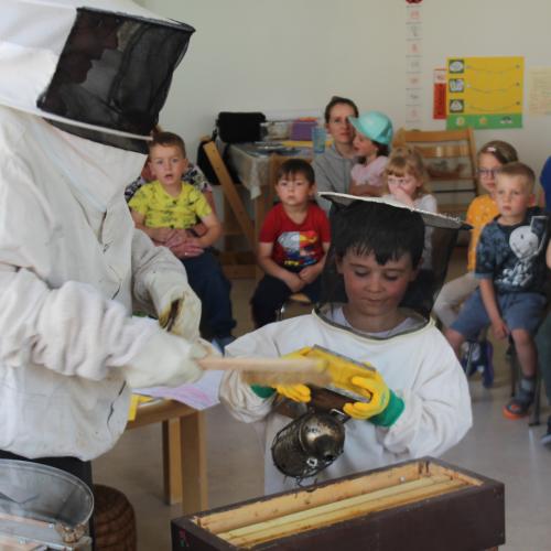 Bienenprojekt