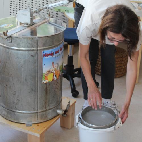 Bienenprojekt