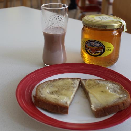 Bienenprojekt