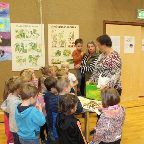 30 Jahre Obst- und Gartenbauverein