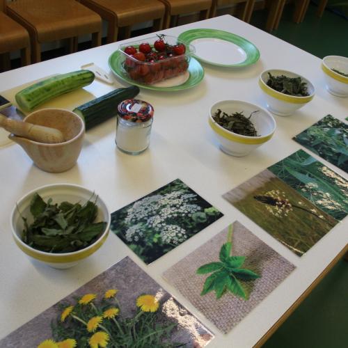 Naturkräuterworkshop