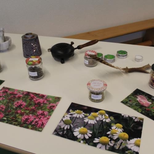 Naturkräuterworkshop
