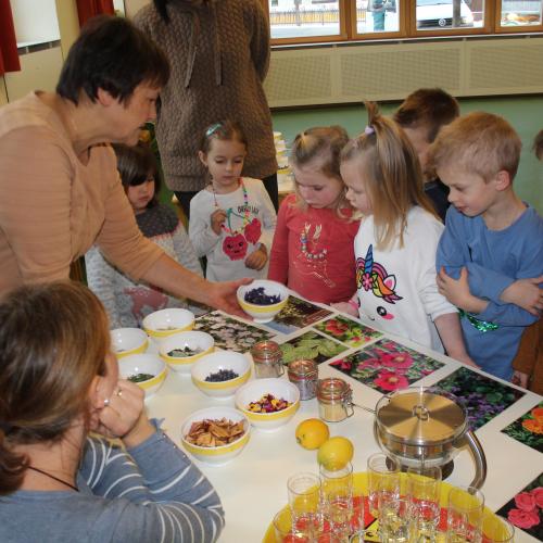Naturkräuterworkshop mit der Gruppe Sonnenstrahl!