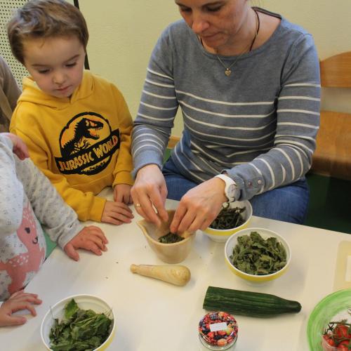 Naturkräuterworkshop mit der Gruppe Sonnenstrahl!