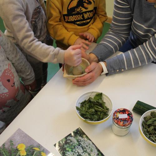 Naturkräuterworkshop mit der Gruppe Sonnenstrahl!