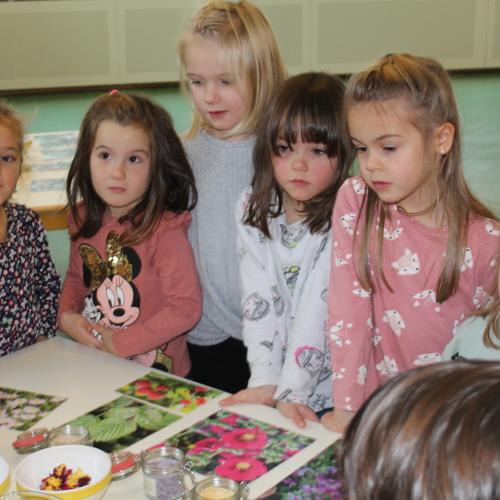 Naturkräuterworkshop mit der Gruppe Sonnenstrahl!