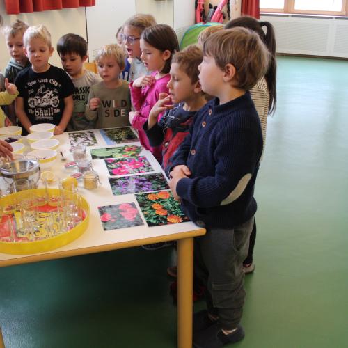 Naturkräuterworkshop mit der Gruppe Sternschnuppe!