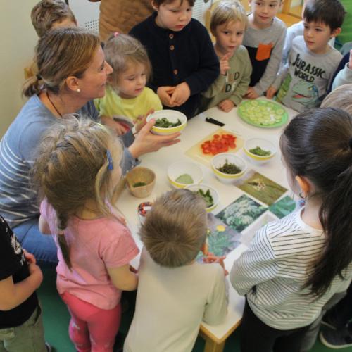 Naturkräuterworkshop mit der Gruppe Sternschnuppe!