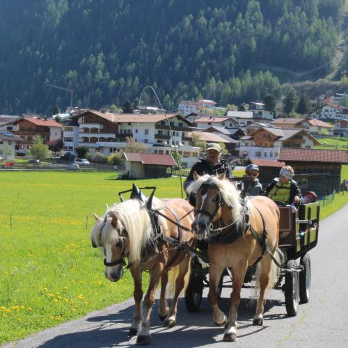 Kutschenfahrt