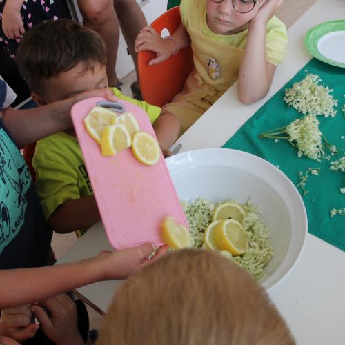 Holundersaft selbstgemacht!