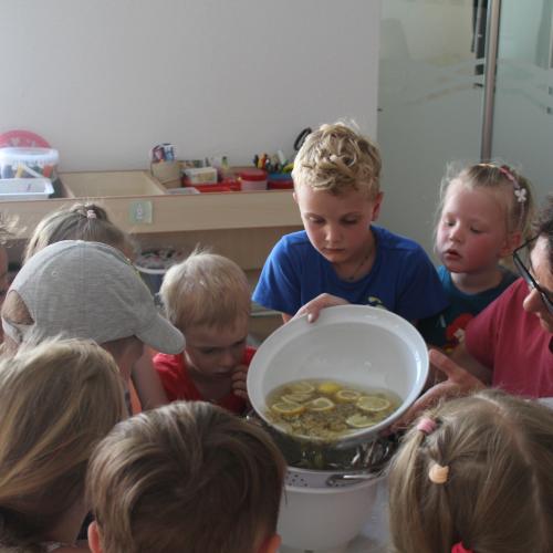 Holundersaft selbstgemacht!