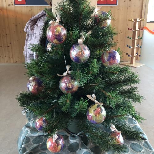 Advent 23