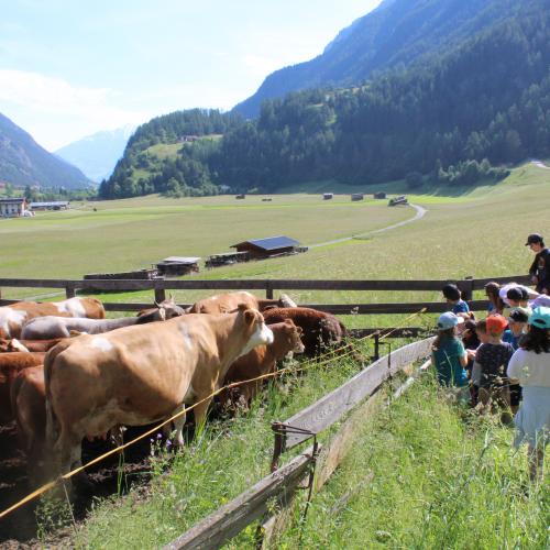 Naturtag Bauernhof