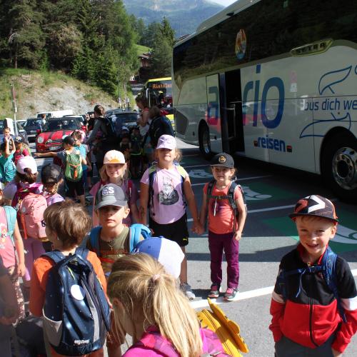 Wandertag x trees