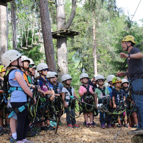 Wandertag x trees