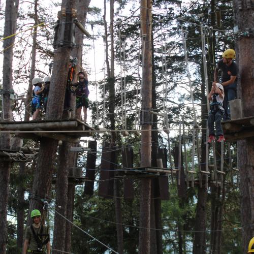 Wandertag x trees