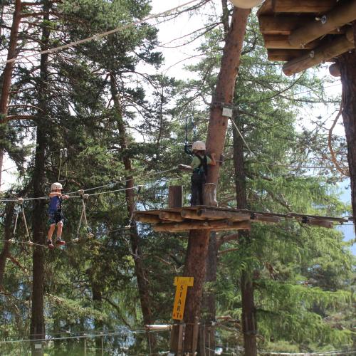Wandertag x trees