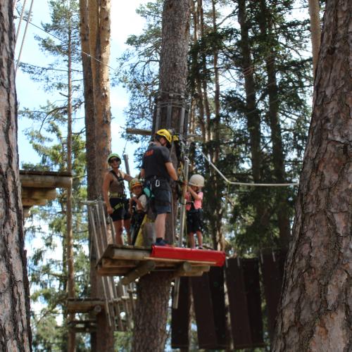 Wandertag x trees