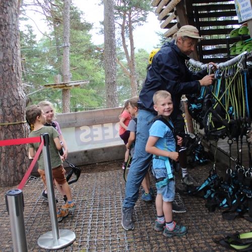 Wandertag x trees