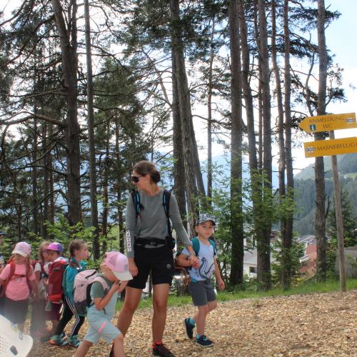 Wandertag x trees