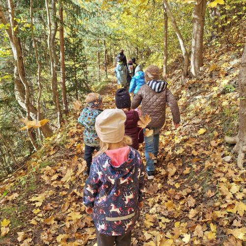 Herbst Spaziergang