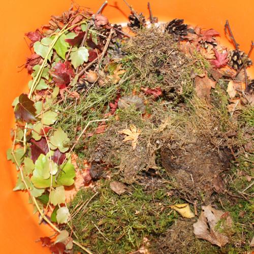 Basteln mit Herbstmaterialien