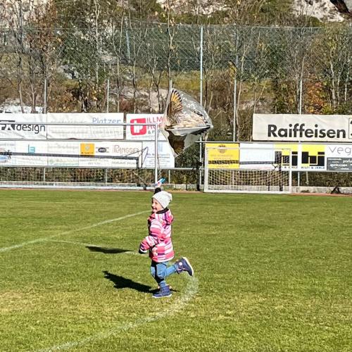 Herbstwind hui,hui, hui - Spaß im Wind