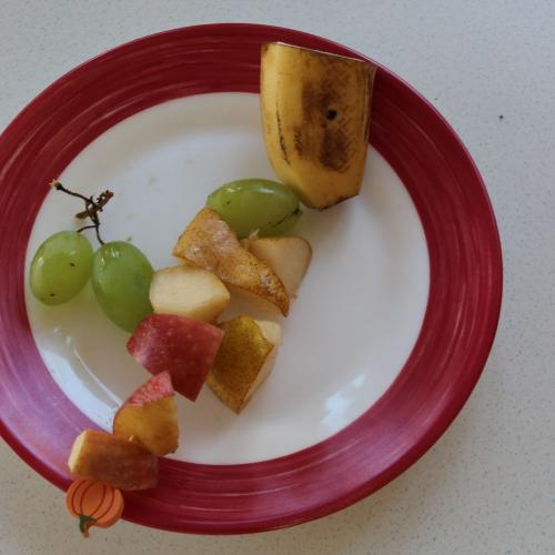 Unsere erste Einheitsjause