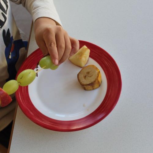 Unsere erste Einheitsjause