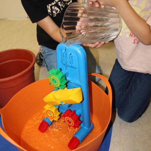 Pflanzen brauchen Wasser