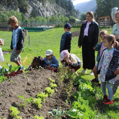 Besuch am Koahof - mit unseren Kräuterexpertinnen Petra und Erika