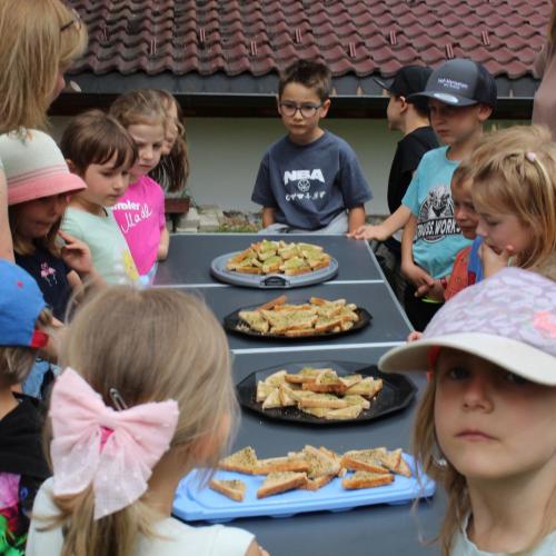 Besuch am Koahof - mit unseren Kräuterexpertinnen Petra und Erika