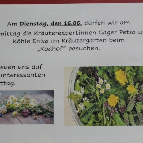Besuch am Koahof - mit unseren Kräuterexpertinnen Petra und Erika