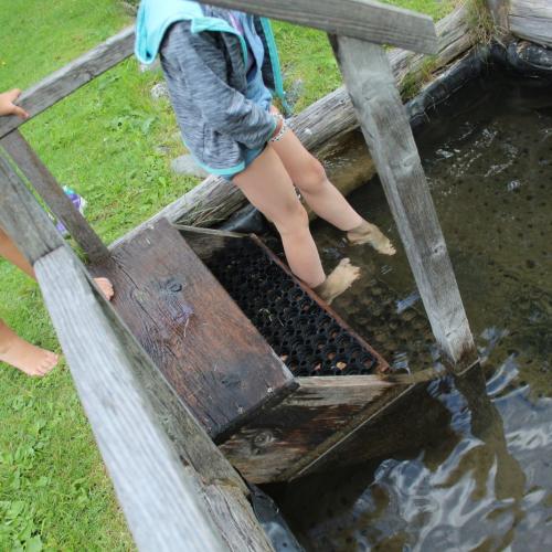 Kneippen bei Beatrix