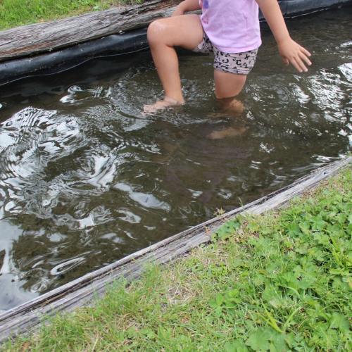 Kneippen bei Beatrix