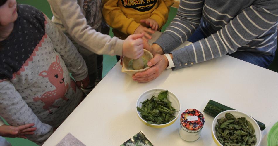 Naturkräuterworkshop mit der Gruppe Sonnenstrahl!