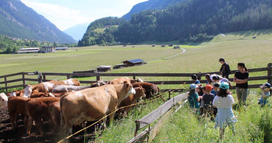 Naturtag Bauernhof