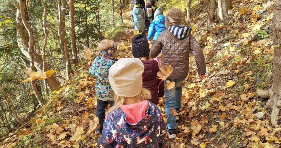 Herbst Spaziergang