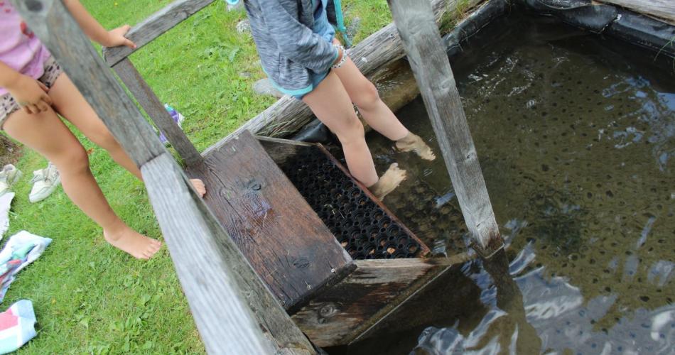 Kneippen bei Beatrix